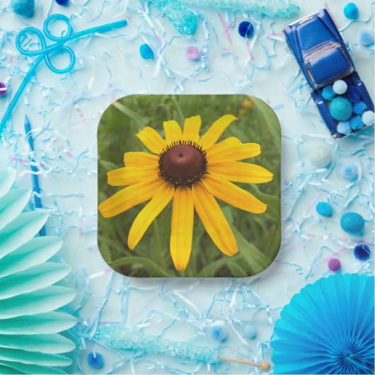 Hellgelbe Rudbeckia Fotografie Picnic Pappteller (Party)