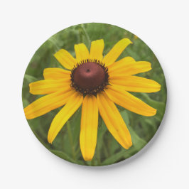 Hellgelbe Rudbeckia Fotografie Picnic Pappteller