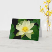 Hellgelbe schwimmende Wasserlilie Karte (Gelbe Blume)