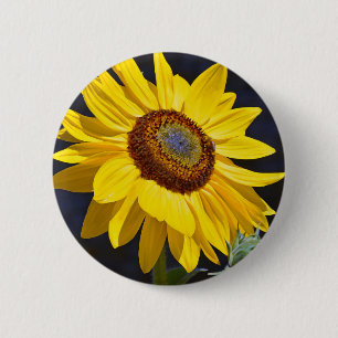 Hellgelbe Sonnenblume Button