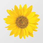 Hellgelbe Sonnenblume Fensteraufkleber (Blatt)
