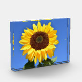 Hellgelbe Sonnenblume Fotoblock (Links)