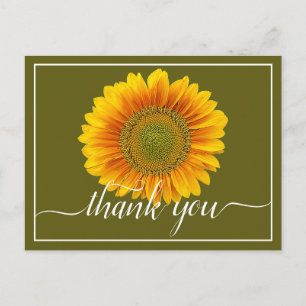 Hellgelbe Sonnenblume Grüner Hintergrund Danke Postkarte