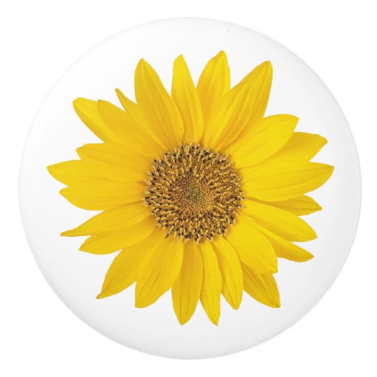 Hellgelbe Sonnenblume Keramikknauf (Vorderseite)