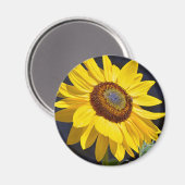 Hellgelbe Sonnenblume Magnet (Vorderseite/Rückseite)