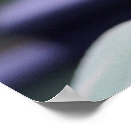 Hellgelbe Sonnenblume Poster (Ecke)