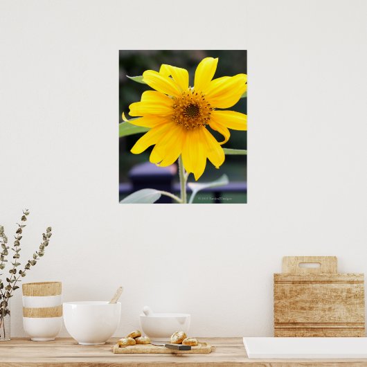 Hellgelbe Sonnenblume Poster (Küche)