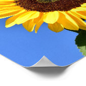Hellgelbe Sonnenblume Poster (Ecke)