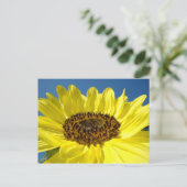 Hellgelbe Sonnenblumen-Postkarten Blue Sky Postkarte (Stehend Vorderseite)