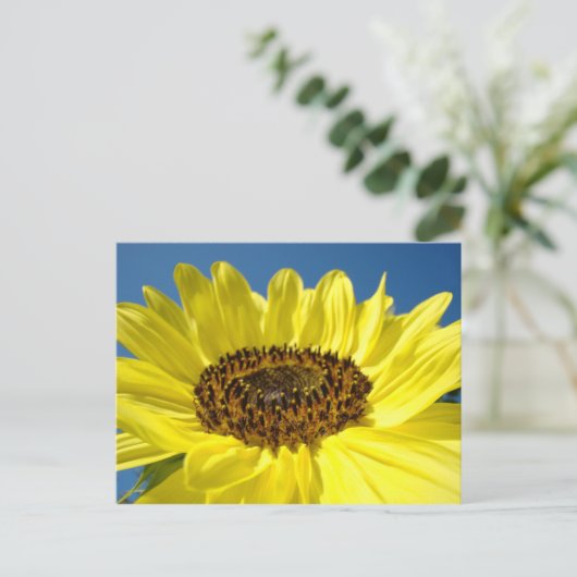 Hellgelbe Sonnenblumen-Postkarten Blue Sky Postkarte (Stehend Vorderseite)