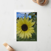 Hellgelbe Sonnenblumen und blauer Himmel Mitteilungskarte (Vorderseite/Rückseite Beispiel)