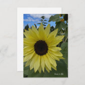 Hellgelbe Sonnenblumen und blauer Himmel Mitteilungskarte (Vorne/Hinten)