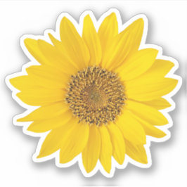 Hellgelbe Sonnenblumenkontraktkleber Aufkleber