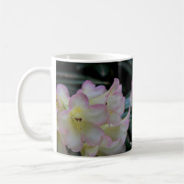 Hellgelbe und rosa Rhododendron Blume Tasse