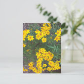 Hellgelbe Wildblumen im Naturpark Postkarte (Stehend Vorderseite)