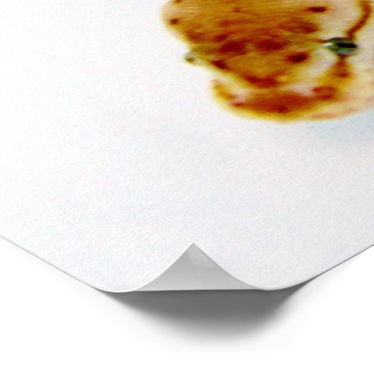 Hellgelber Ball Python Poster (Ecke)