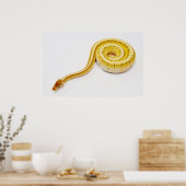 Hellgelber Ball Python Poster (Küche)