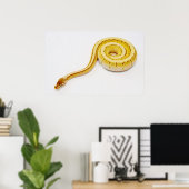 Hellgelber Ball Python Poster (Heimbüro)