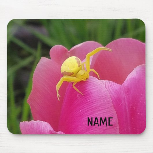 Hellgelber Krabbenschwingel Rosa Tulip deinen Name Mousepad (Vorne)