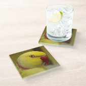 Hellgelber Lutino Indischer Ringackparrot Glasuntersetzer (Schrägansicht)
