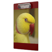 Hellgelber Lutino Indischer Ringackparrot Klemmbrett (Links)
