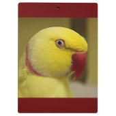 Hellgelber Lutino Indischer Ringackparrot Klemmbrett (Rückseite)