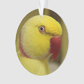 Hellgelber Lutino Indischer Ringackparrot Ornament (Vorderseite)