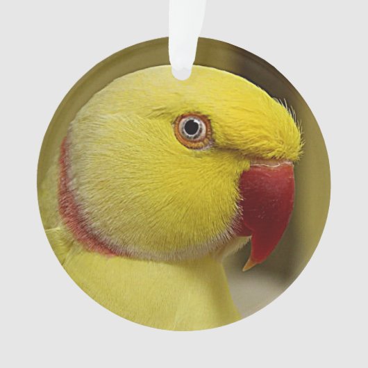 Hellgelber Lutino Indischer Ringackparrot Ornament (Vorderseite)