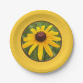 Hellgelber Solo Rudbeckia Fotografie Picnic Pappteller (Vorderseite)