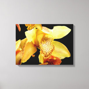Hellgelbes Cymbidium Orchid Canvas Print Leinwanddruck