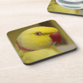 Hellgelbes Lutino Indianerringerparrot Getränkeuntersetzer (Linke Seite)