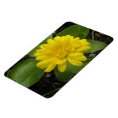 Hellgelbes Marigold Premium Magnet (Linke Seite)