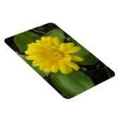Hellgelbes Marigold Premium Magnet (Rechte Seite)