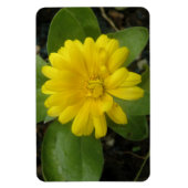 Hellgelbes Marigold Premium Magnet (Vertikal)