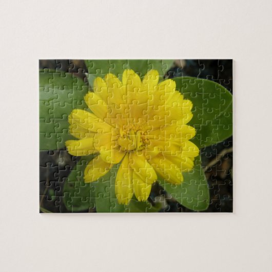 Hellgelbes Marigold-Puzzle Puzzle (Horizontal)