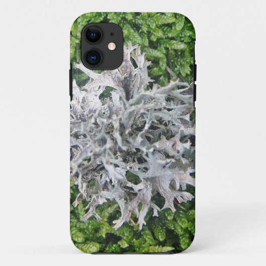 Hellgraue Flechte auf schem Moos Case-Mate iPhone Hülle (Rückseite)