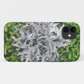Hellgraue Flechte auf schem Moos Case-Mate iPhone Hülle (Rückseite (Horizontal))