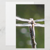 Hellgraue Libelle Briefpapier (Vorne/Hinten)