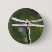 Hellgraue Libelle Button (Vorderseite)
