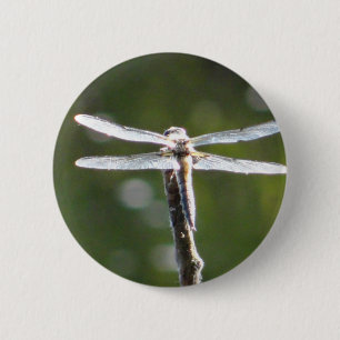 Hellgraue Libelle Button