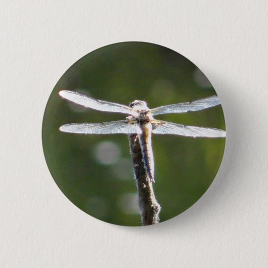 Hellgraue Libelle Button (Vorderseite)