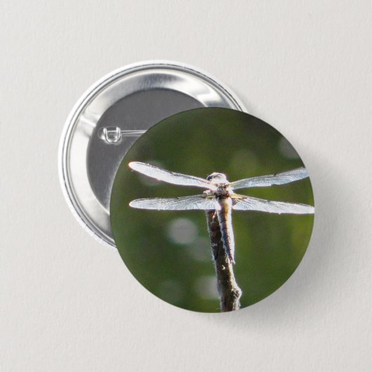 Hellgraue Libelle Button (Vorne & Hinten)