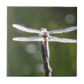 Hellgraue Libelle Fliese (Vorderseite)