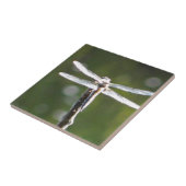 Hellgraue Libelle Fliese (Seite)