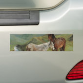 Hellgraues Pferd auf einem Feld (Pferdezucht) Autoaufkleber (Auf Auto)
