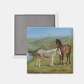 Hellgraues Pferd auf einem Feld (Pferdezucht) Magnet (Vorderseite/Rückseite)