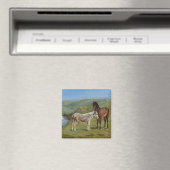 Hellgraues Pferd auf einem Feld (Pferdezucht) Magnet (In Situ (Geschirrspüler))