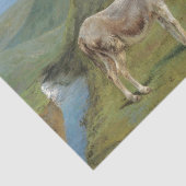 Hellgraues Pferd auf einem Feld (Pferdezucht) Seidenpapier (Ausschnitt)