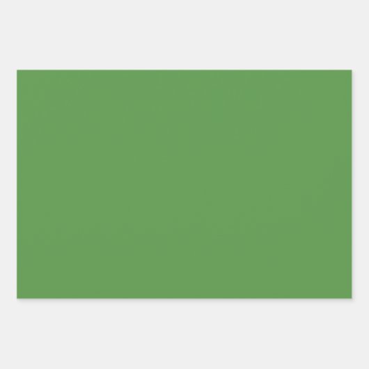 Hellgrün und Gold Geschenkpapier Set (Vorderseite 3)