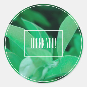 Hellgrüne Blatt-Pflanze Danke-Aufkleber Runder Aufkleber